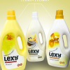 Lexy